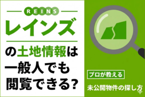 レインズ土地情報
