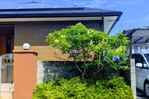 1000万円で家を建てる